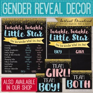 Future Big Brother Announcement Photo Prop, Personalized Pregnancy ...