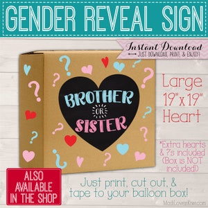 Future Big Brother Announcement Photo Prop, Personalized Pregnancy ...