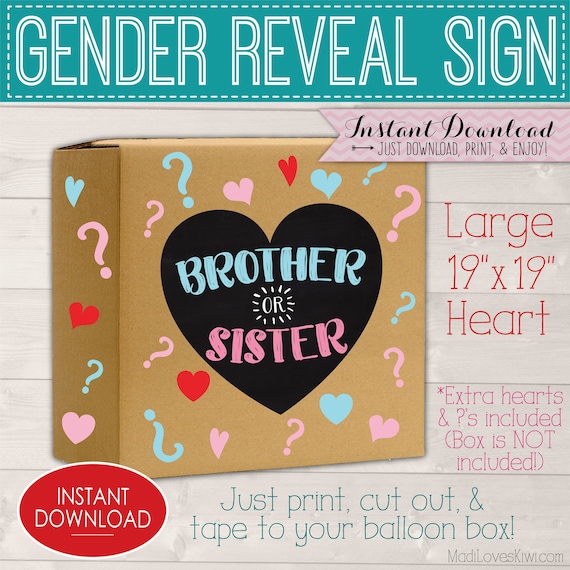 Brother or Sister Gender Reveal Balloon Box Sign, Digital Pink Blue Party Decor, Girl Boy Baby Decorations, Chalkboard Printable Prop Ideas Il_570xn