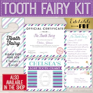 Mini Tooth Fairy Letter Printable, Editable Lost Tooth Certificate PDF Template, DIY Girl Mail Receipt Digital First Report Instant Download image 10
