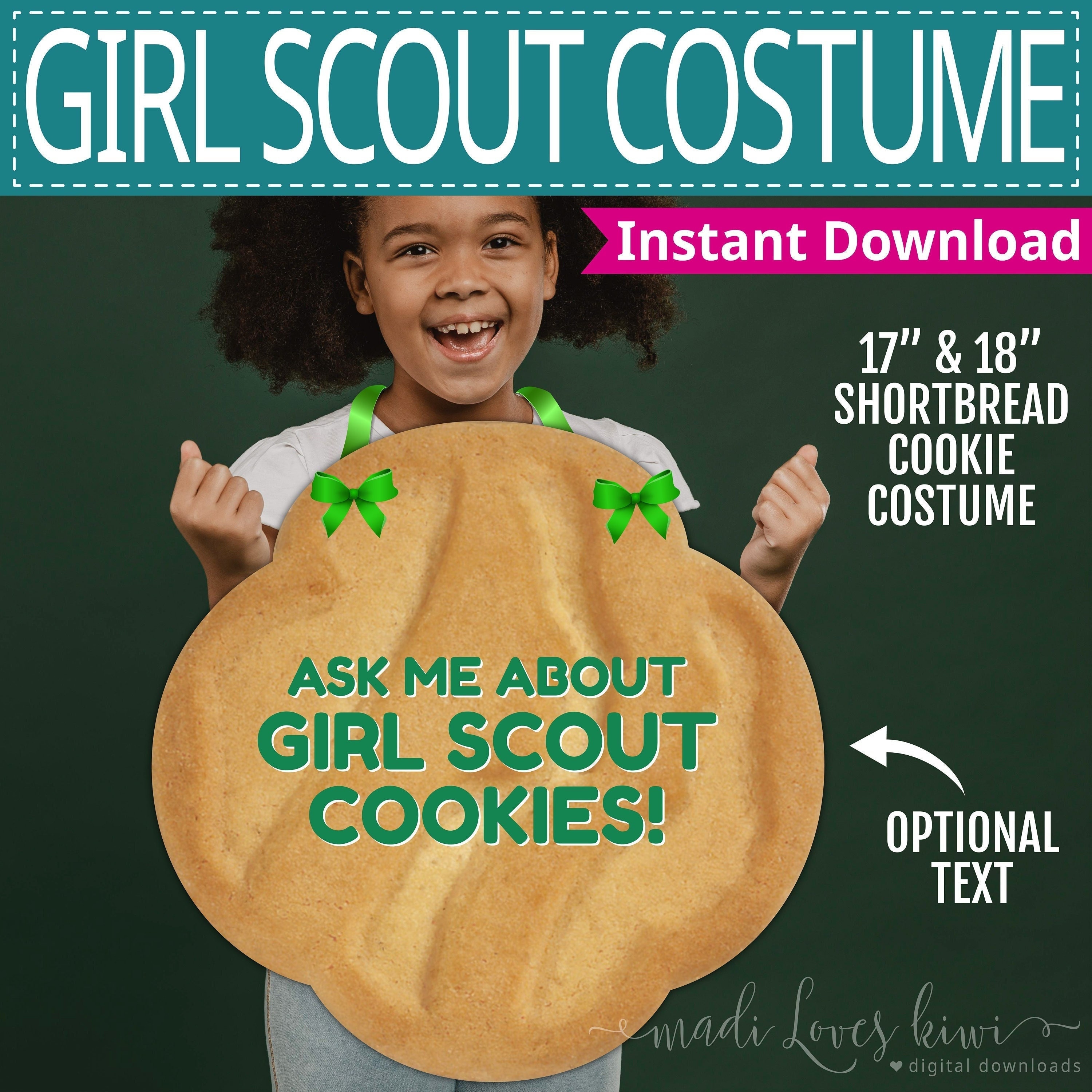 Girl Scout Cookie Box Costume
