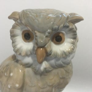 May include: A ceramic owl figurine with a detailed design. The owl has large, round, brown eyes, a tan beak, and a light gray and beige color scheme. The figurine is a decorative item, likely for home decor.