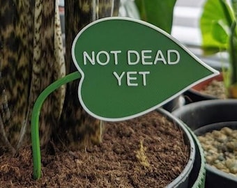Peut inclure: Une plante verte avec une étiquette en forme de feuille qui indique "NOT DEAD YET".