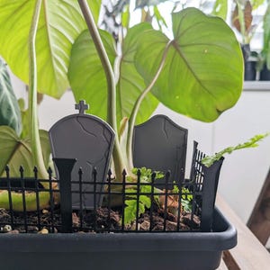 Planter Graveyard and Fence, Haunted Cemetery Scene for your Pot, Gravestones in Planters, 3D Printed
