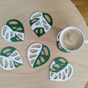 Multiple monstera adansonii leaf coasters arranged flat showing all coaster pieces