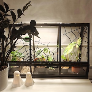 Könnte beinhalten: Ein schwarzes Metall-Terrarium mit Spinnennetz-Design, in dem verschiedene Topfpflanzen stehen. Zwei weiße, geisterförmige Kerzenhalter stehen vor dem Terrarium.