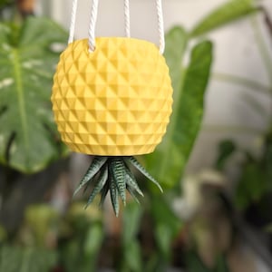May include: A yellow pineapple-shaped hanging planter with a geometric pattern. The planter is suspended by white rope and holds a green and white succulent. The background is blurred with green foliage.
