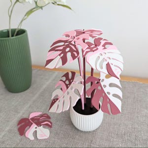 Può includere: Una pianta decorativa di carta con foglie rosa, bianche e bordeaux in un vaso bianco a coste. Un sottobicchiere a forma di foglia abbinato è posto accanto alla pianta. La pianta è una Monstera deliciosa.