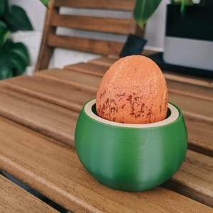 Peut inclure: Un récipient vert et rond avec un bord blanc contient un objet orange en forme d'œuf. Le récipient est posé sur une surface en lattes de bois. L'objet en forme d'œuf a une surface texturée avec des marques marron.