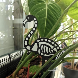 May include: A black and white flamingo skeleton plant stake. The flamingo has a long, curved neck and a detailed skeletal design. It is placed among green plants, adding a unique touch to any indoor or outdoor garden.