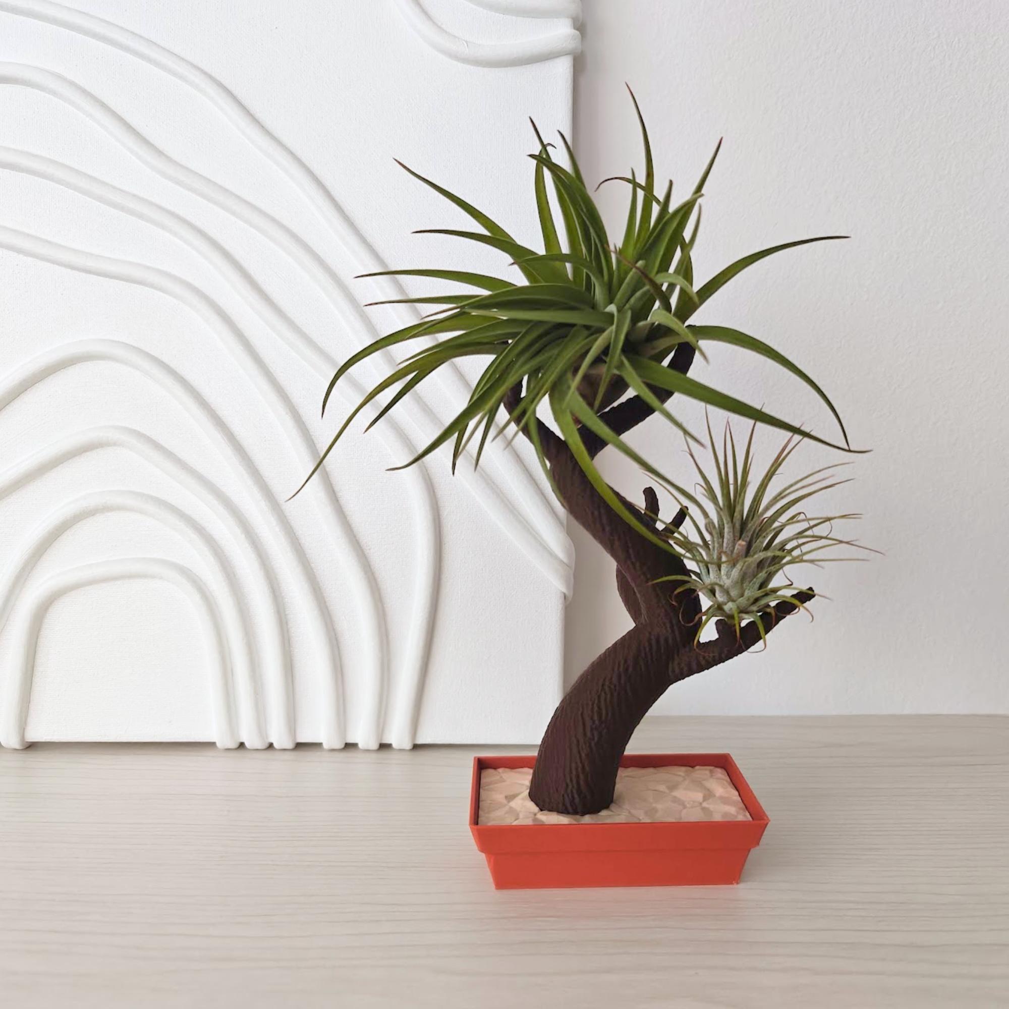 ひょうたんオブジェ Bonsai Air Plant Holder, Tillandsia Display, 3D Printed Planter
