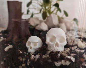 Têtes de mort miniatures pour terrariums, petites têtes de mort imprimées en 3D pour dioramas et décoration gothique