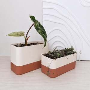 Vaso retangular com sistema de autoirrigação, impresso em 3D, com reservatório, moderno para ambientes internos, ideal para peitoril de janela ou como vaso com sistema de irrigação por pavio.