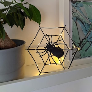 Può includere: Una statuetta di ragno nero in una ragnatela di filo nero con luci bianche. La ragnatela è su uno scaffale bianco con una pianta verde in un vaso grigio.