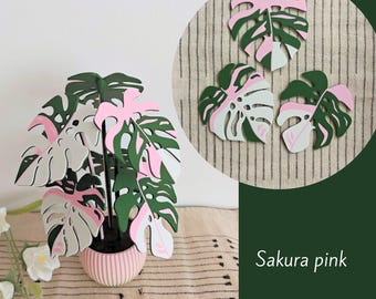 モンステラコースター植物、マグネット式葉っぱ（内側に穴あり）、植物