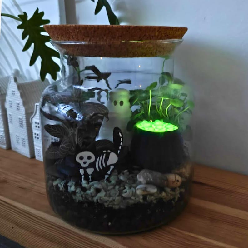 Halloween terrarium display featuring the glowing green cauldron among plants, skulls, and small skeleton decorations.