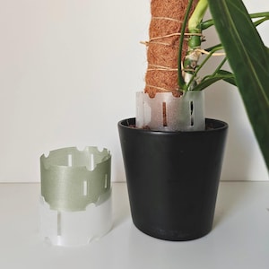May include: A clear plastic plant pot support ring with vertical slots sits next to a black plant pot. The pot contains a plant with a brown coir pole for support. The support ring is designed to help stabilize the plant.