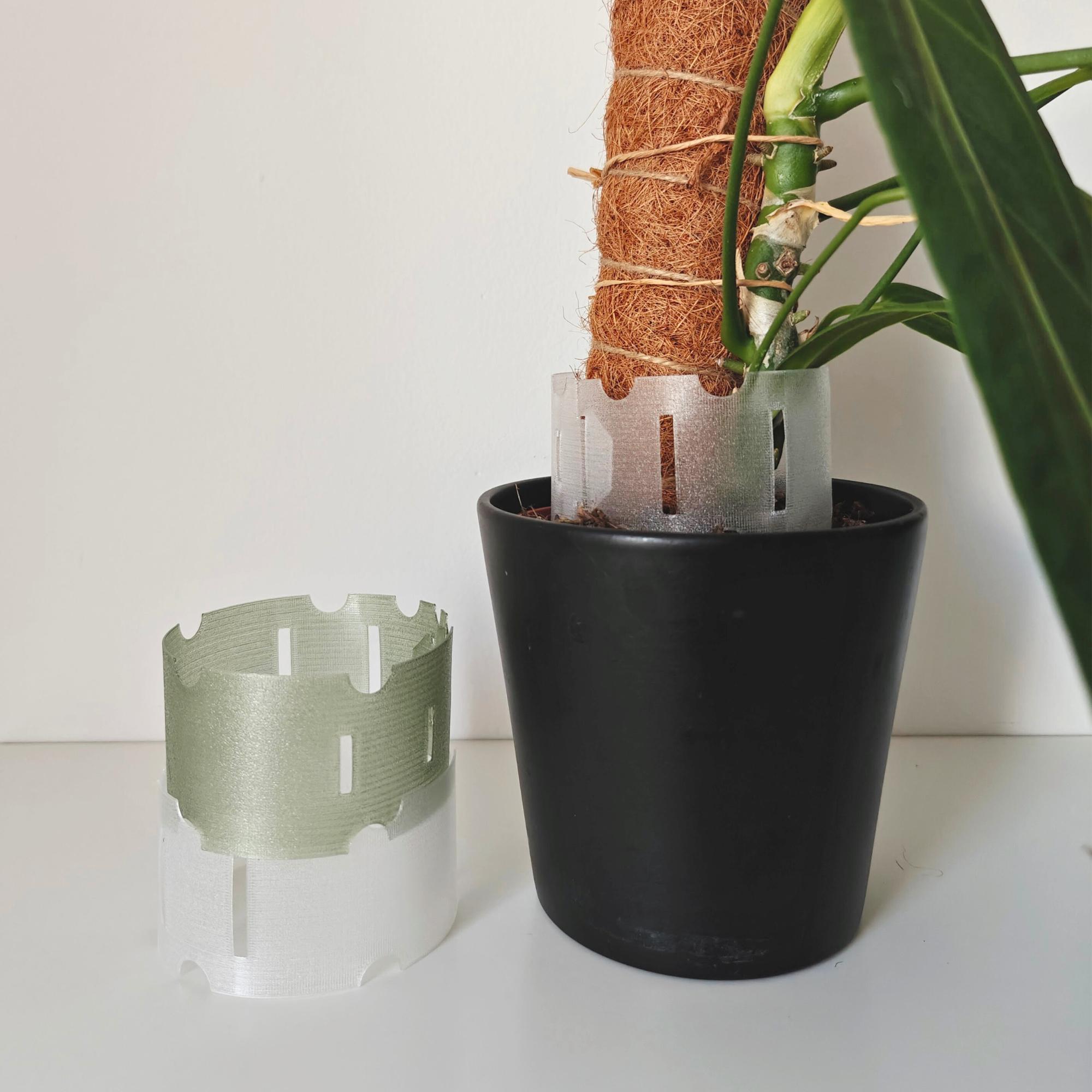 Plant Pot Extender for Anthuriums and Aroids, Stackable