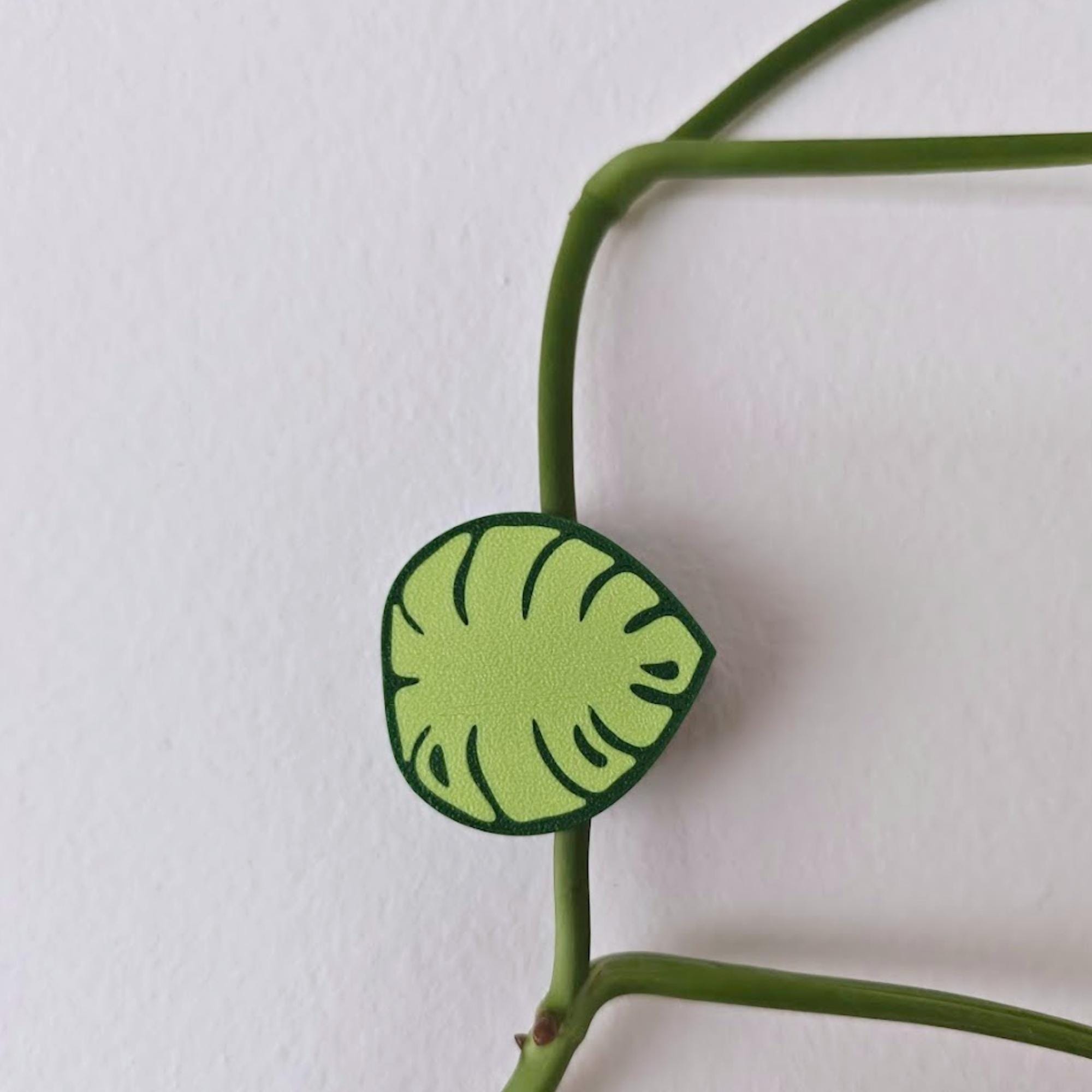 Fixation Murale Plante 80 Clips Auto-Adhésifs Pour Plantes Grimpantes - Support Vigne, Fixation Invisible Blanche Clips Jardinage