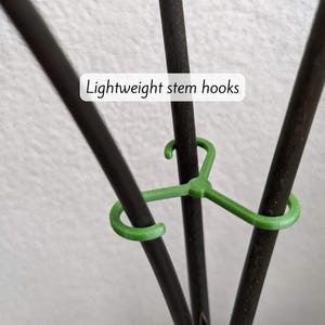 Puede incluir: Ganchos de tallo de plástico verde unidos a tres estacas de plantas negras. Los ganchos son ligeros y están diseñados para mantener los tallos de las plantas en su lugar.