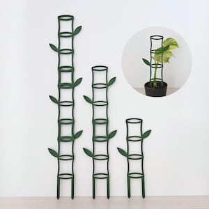 Puede incluir: Tres soportes verdes para plantas con forma de bambú y detalles de hojas. Los soportes son de diferentes alturas y están diseñados para ayudar a las plantas a crecer verticalmente. Una incrustación circular muestra una planta creciendo dentro de uno de los soportes.