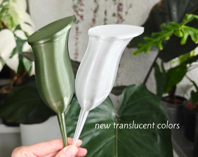 Water container in the shape of a Pitcher plant, Self-watering planter, Slow Release Watering for Indoor Plants, Irrigation and watering aid