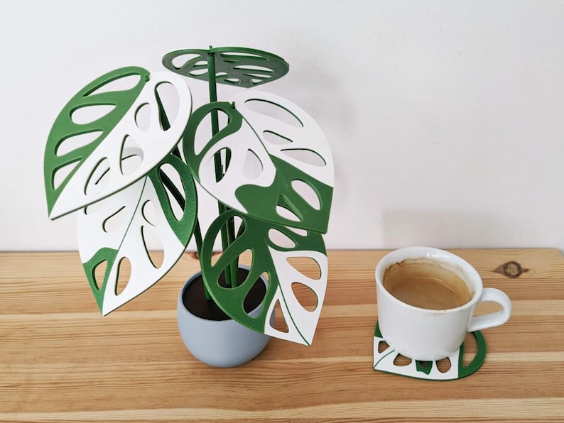 Two-color Monstera adansonii coaster plant styled as decorative tabletop plant