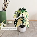Monstera Coaster Plant, MAGNETIC Leaves with Inner Fenestrations, Coaster Set Gift for Plant Lovers, Pink Monstera Albo, 3D printed Coasters product logo