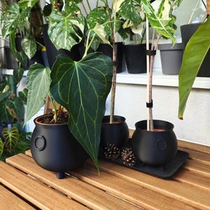 Halloween Cauldron Planter