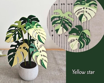 モンステラコースター植物、マグネット式葉っぱ（内側に穴あり）、植物