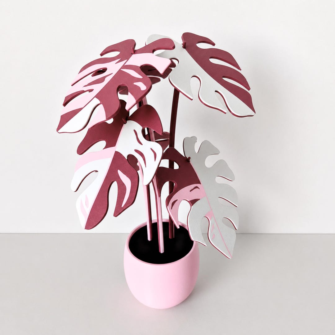 mini monstera minima Mini Monstera 6
