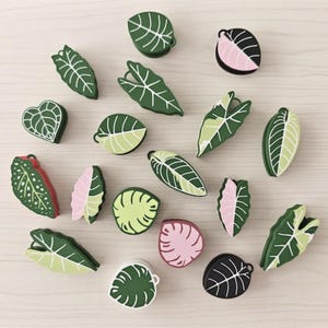 Può includere: Una collezione di magneti a forma di foglia in vari colori e design. I magneti presentano tonalità verdi, bianche, rosa e nere, con dettagliati motivi a venature. Alcuni hanno un design a clip, mentre altri sono pieni. La disposizione è su una superficie di legno chiaro.