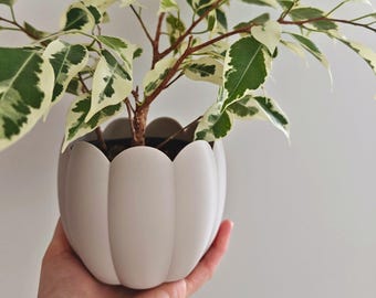 Pot for Small plants and Succulents or Organizer for Small Items, Home Decor, 3D Printed Planters