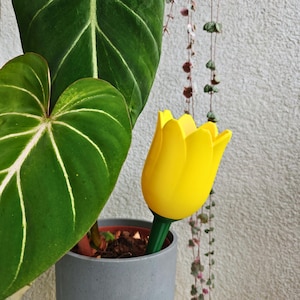 Estaca de riego para tulipanes, sistema de autorriego para plantas de interior, riego de liberación lenta, impresión 3D