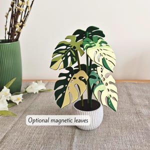 Monstera Coaster Plant, MAGNETIC Leaves with Inner Fenestrations, Coaster Set Gift for Plant Lovers, Pink Monstera Albo, 3D printed Coasters