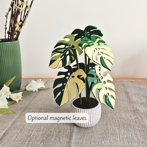 Monstera Coaster Plant, MAGNETIC Leaves With Inner Fenestrations, Coaster  Set Gift for Plant Lovers, Pink Monstera Albo, 3D Printed Coasters - Etsy  Hong Kong