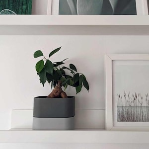 May include: A small bonsai tree with dark green leaves in a rectangular grey pot. The pot sits on a light grey tray. The plant is on a white shelf, with framed artwork in the background.