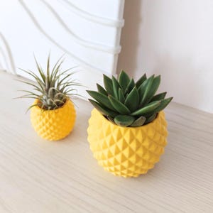 Maceta con forma de piña para suculentas y plantas aéreas, maceta impresa en 3D con inserto, soporte para tillandsias, soporte para plantas aéreas