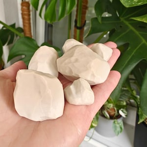 May include: A collection of six off-white, carved stone-like objects, held in a hand. The objects have irregular shapes and textured surfaces, resembling small rocks or decorative pieces. The background features lush green plants.