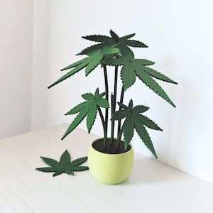 Peut inclure: Une plante verte en pot avec plusieurs tiges et feuilles. La plante est dans un pot vert clair avec une base vert foncé.