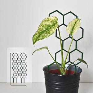 Enrejado extensible extra alto, soporte modular de panal para plantas trepadoras de interior y exterior, rejilla para plantas impresa en 3D