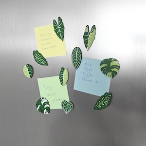 Leaf Fridge Magnets Set, Plant Kitchen Magnets, Monstera, Alocasia, Begonia, Anthurium, 3D Printed Decor