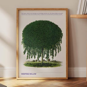 Vintage Tree Illustration Poster, Antique Plant Nursery Art, Tree Wall Decor, Classic Nature Study Print, Retro Garden Art, Botanical Poster