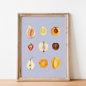 Feminine Fruit Poster, Botanical Fruit Illustration, Sliced Fruit Art Print, Fruit Anatomy Wall Art, Watercolor Fruit Art, Kitchen Decor
