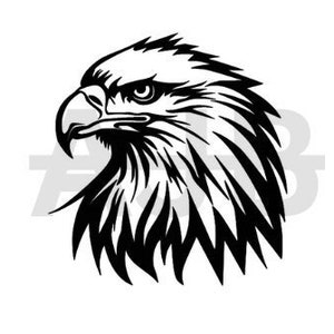 May include: Black and white illustration of an eagle's head with a fierce expression. The eagle's feathers are detailed and the beak is sharp.