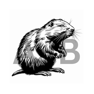 Beaver svg, Beaver png, Beaver dxf, Beaver Cricut file, Beaver t-shirt design, Beaver laser engraving file, Beaver tumbler design, beaver