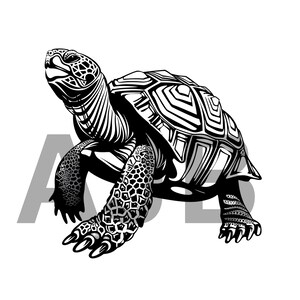May include: Black and white line art illustration of a turtle with a detailed shell pattern. The turtle is walking with its head raised.