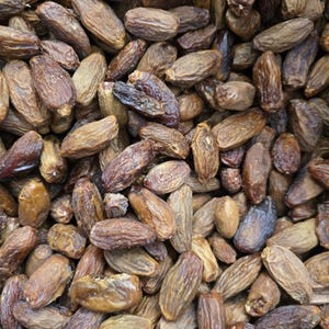 May include: A close-up shot of a pile of dried dates. The dates are oval-shaped with a wrinkled texture and a dark brown color. Some dates have a slightly lighter hue, and the overall appearance suggests a natural, unprocessed food product.