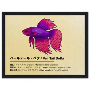 Veil Tail Betta Fish Canvas | Japanese Aquarium Art Print | Tropical Wall Decor | Betta Poster | Nature-Inspired Gift | Aquascaping Art