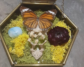 Foraged Bone Art, Vintage Glass Box, Vertebrae and Butterfly, Trinket Box, Macabre Décor, Gothic Home, Dried Florals